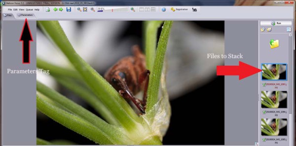 Loaded Files (Helicon Focus)