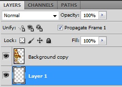 Select Layer Select Layer