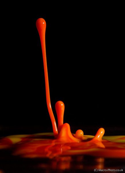 Dancing Paint Portrait. Dancing Paint Portrait.