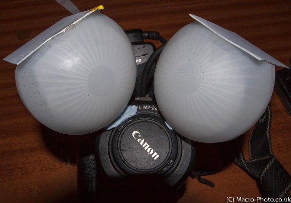 Diffusers mounted on the MPE-65mm lens and MT-24ex flashgun Diffusers mounted on the MPE-65mm lens and MT-24ex flashgun