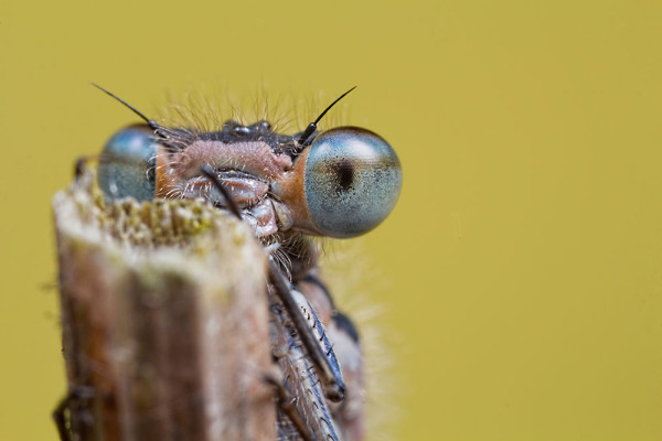 I can see you!