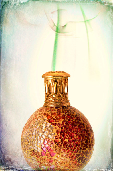 Genie in a Bottle