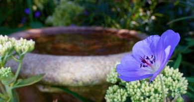 A Look at Topaz Labs Glow 2 Plugin A Look at Topaz Labs Glow 2 Plugin