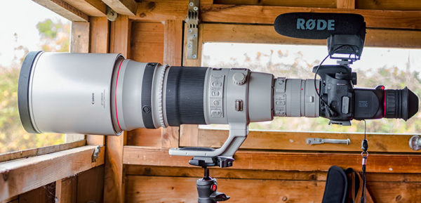 Canon 500mm and RODE Video Mic Pro Setup