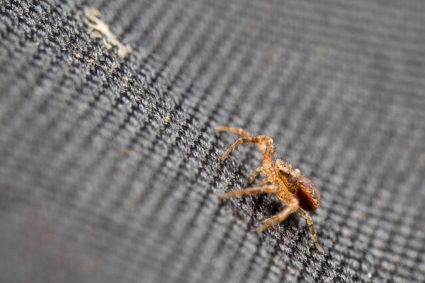Climbing the threads